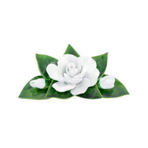 Motif 22 cm - roses blanches